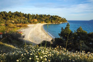 Koviou Sahili yakınlarındaki Sithonia kıyı şeridi, Chalkidiki, Orta Makedonya, Yunanistan