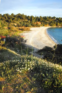 Koviou Sahili yakınlarındaki Sithonia kıyı şeridi, Chalkidiki, Orta Makedonya, Yunanistan
