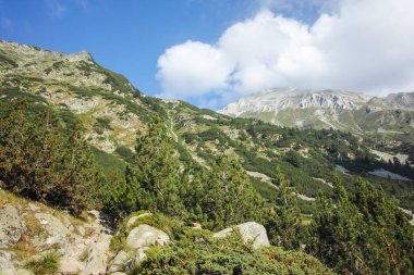 Bulgaristan 'ın Banderitsa Bölgesi yakınlarındaki Pirin Dağı' nın Şaşırtıcı Manzarası