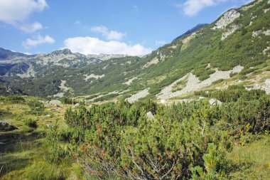 Bulgaristan 'ın Banderitsa Bölgesi yakınlarındaki Pirin Dağı' nın Şaşırtıcı Manzarası