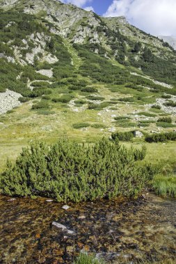 Bulgaristan 'ın Banderitsa Bölgesi yakınlarındaki Pirin Dağı' nın Şaşırtıcı Manzarası