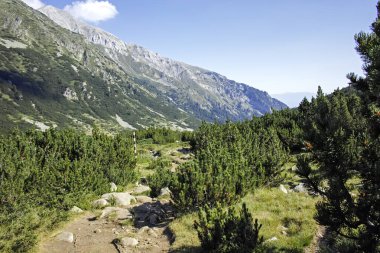 Bulgaristan 'ın Banderitsa Bölgesi yakınlarındaki Pirin Dağı' nın Şaşırtıcı Manzarası