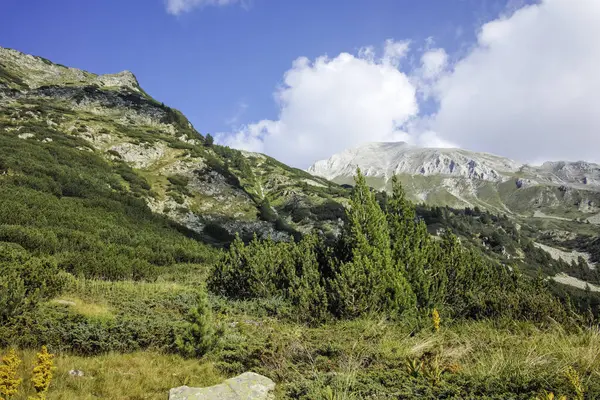 Bulgaristan 'ın Banderitsa Bölgesi yakınlarındaki Pirin Dağı' nın Şaşırtıcı Manzarası