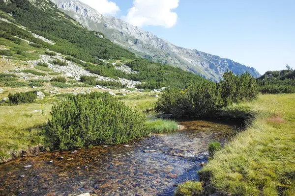 Bulgaristan 'ın Banderitsa Bölgesi yakınlarındaki Pirin Dağı' nın Şaşırtıcı Manzarası
