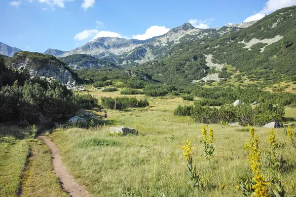Bulgaristan 'ın Banderitsa Bölgesi yakınlarındaki Pirin Dağı' nın Şaşırtıcı Manzarası