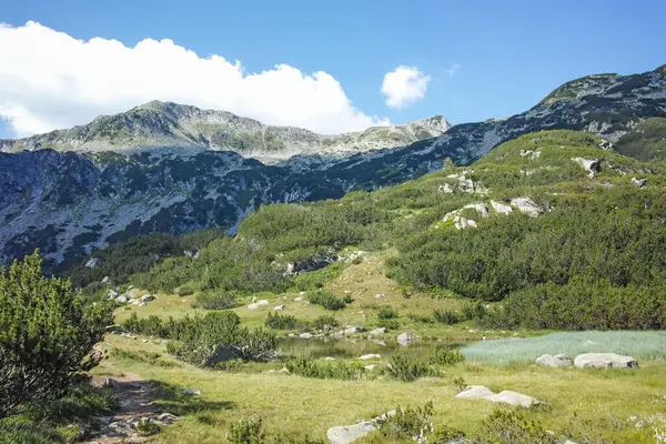 Bulgaristan 'ın Banderitsa Bölgesi yakınlarındaki Pirin Dağı' nın Şaşırtıcı Manzarası