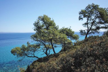 Nea Fokea, Chalkidiki, Orta Makedonya ve Yunanistan yakınlarındaki Kassandra kıyı şeridinin inanılmaz manzarası
