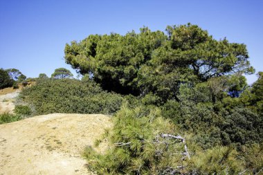 Nea Fokea, Chalkidiki, Orta Makedonya ve Yunanistan yakınlarındaki Kassandra kıyı şeridinin inanılmaz manzarası