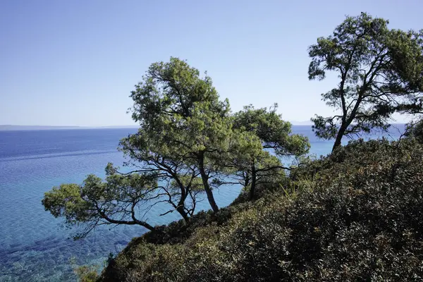 Nea Fokea, Chalkidiki, Orta Makedonya ve Yunanistan yakınlarındaki Kassandra kıyı şeridinin inanılmaz manzarası