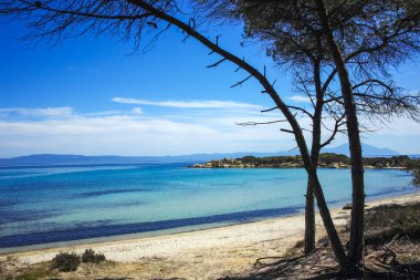 Karydi Sahili yakınlarındaki Sithonia kıyı şeridi, Chalkidiki, Orta Makedonya, Yunanistan