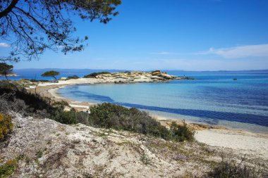 Karydi Sahili yakınlarındaki Sithonia kıyı şeridi, Chalkidiki, Orta Makedonya, Yunanistan