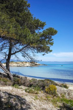 Karydi Sahili yakınlarındaki Sithonia kıyı şeridi, Chalkidiki, Orta Makedonya, Yunanistan