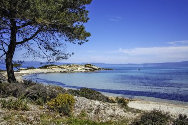 Karydi Sahili yakınlarındaki Sithonia kıyı şeridi, Chalkidiki, Orta Makedonya, Yunanistan