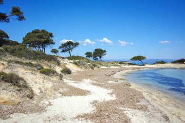 Karydi Sahili yakınlarındaki Sithonia kıyı şeridi, Chalkidiki, Orta Makedonya, Yunanistan