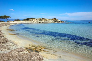 Karydi Sahili yakınlarındaki Sithonia kıyı şeridi, Chalkidiki, Orta Makedonya, Yunanistan