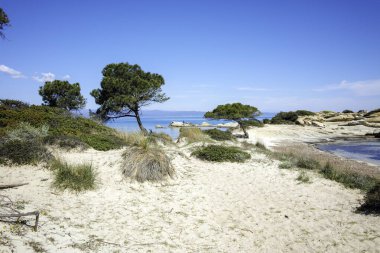 Karydi Sahili yakınlarındaki Sithonia kıyı şeridi, Chalkidiki, Orta Makedonya, Yunanistan