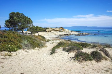 Karydi Sahili yakınlarındaki Sithonia kıyı şeridi, Chalkidiki, Orta Makedonya, Yunanistan