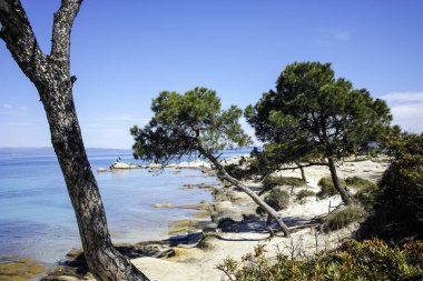 Karydi Sahili yakınlarındaki Sithonia kıyı şeridi, Chalkidiki, Orta Makedonya, Yunanistan