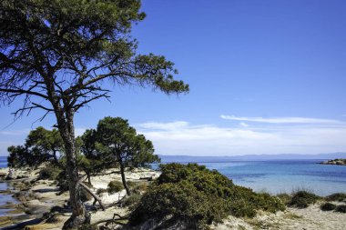 Karydi Sahili yakınlarındaki Sithonia kıyı şeridi, Chalkidiki, Orta Makedonya, Yunanistan