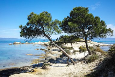 Karydi Sahili yakınlarındaki Sithonia kıyı şeridi, Chalkidiki, Orta Makedonya, Yunanistan