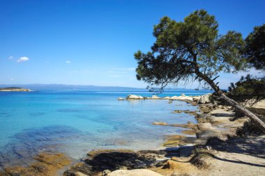 Karydi Sahili yakınlarındaki Sithonia kıyı şeridi, Chalkidiki, Orta Makedonya, Yunanistan