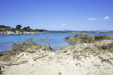 Karydi Sahili yakınlarındaki Sithonia kıyı şeridi, Chalkidiki, Orta Makedonya, Yunanistan