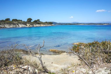 Karydi Sahili yakınlarındaki Sithonia kıyı şeridi, Chalkidiki, Orta Makedonya, Yunanistan