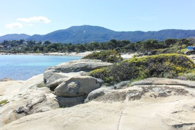 Karydi Sahili yakınlarındaki Sithonia kıyı şeridi, Chalkidiki, Orta Makedonya, Yunanistan