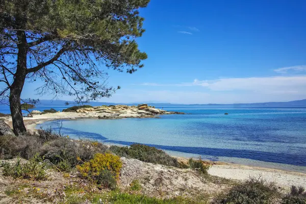 Karydi Sahili yakınlarındaki Sithonia kıyı şeridi, Chalkidiki, Orta Makedonya, Yunanistan