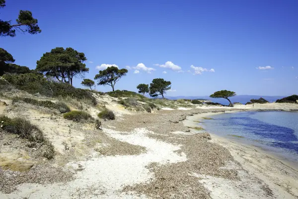 Karydi Sahili yakınlarındaki Sithonia kıyı şeridi, Chalkidiki, Orta Makedonya, Yunanistan