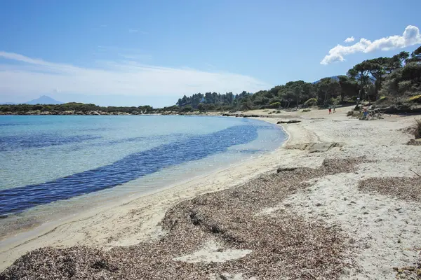 Karydi Sahili yakınlarındaki Sithonia kıyı şeridi, Chalkidiki, Orta Makedonya, Yunanistan
