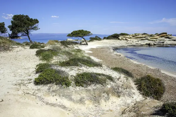 Karydi Sahili yakınlarındaki Sithonia kıyı şeridi, Chalkidiki, Orta Makedonya, Yunanistan