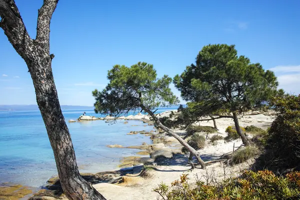 Karydi Sahili yakınlarındaki Sithonia kıyı şeridi, Chalkidiki, Orta Makedonya, Yunanistan
