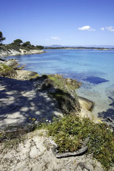 Karydi Sahili yakınlarındaki Sithonia kıyı şeridi, Chalkidiki, Orta Makedonya, Yunanistan