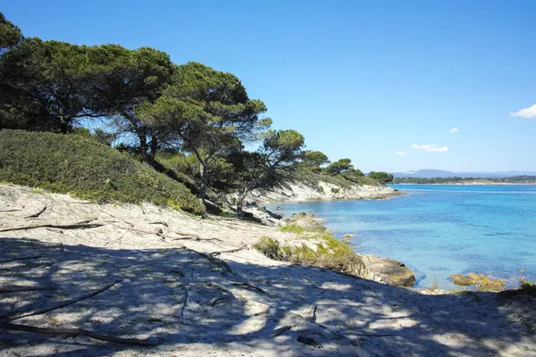 Karydi Sahili yakınlarındaki Sithonia kıyı şeridi, Chalkidiki, Orta Makedonya, Yunanistan