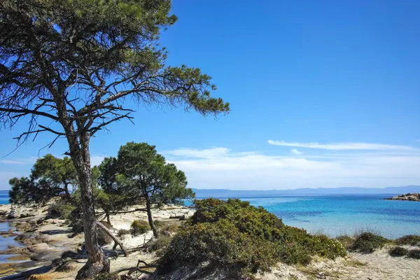 Karydi Sahili yakınlarındaki Sithonia kıyı şeridi, Chalkidiki, Orta Makedonya, Yunanistan