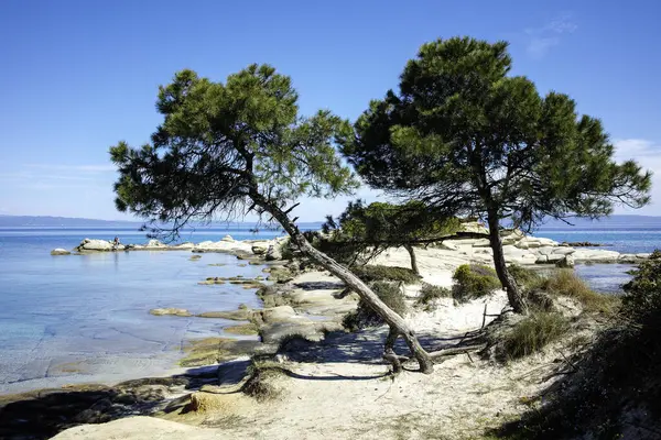 Karydi Sahili yakınlarındaki Sithonia kıyı şeridi, Chalkidiki, Orta Makedonya, Yunanistan