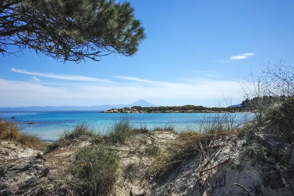 Karydi Sahili yakınlarındaki Sithonia kıyı şeridi, Chalkidiki, Orta Makedonya, Yunanistan