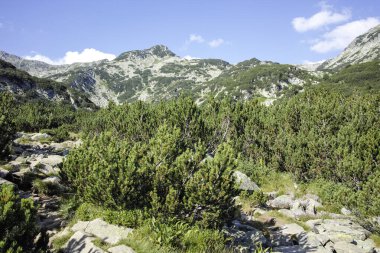 Bulgaristan 'ın Banderitsa Bölgesi yakınlarındaki Pirin Dağı' nın Şaşırtıcı Manzarası