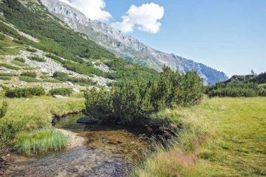 Bulgaristan 'ın Banderitsa Bölgesi yakınlarındaki Pirin Dağı' nın Şaşırtıcı Manzarası