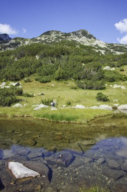 Bulgaristan 'ın Banderitsa Bölgesi yakınlarındaki Pirin Dağı' nın Şaşırtıcı Manzarası