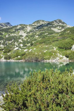 Bulgaristan 'ın Banderitsa Bölgesi yakınlarındaki Pirin Dağı' nın Şaşırtıcı Manzarası