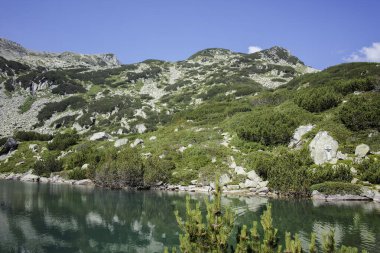 Bulgaristan 'ın Banderitsa Bölgesi yakınlarındaki Pirin Dağı' nın Şaşırtıcı Manzarası