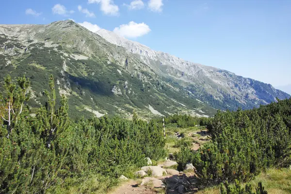 Bulgaristan 'ın Banderitsa Bölgesi yakınlarındaki Pirin Dağı' nın Şaşırtıcı Manzarası