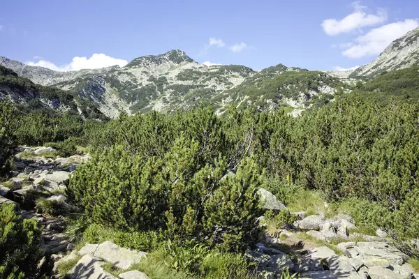 Bulgaristan 'ın Banderitsa Bölgesi yakınlarındaki Pirin Dağı' nın Şaşırtıcı Manzarası