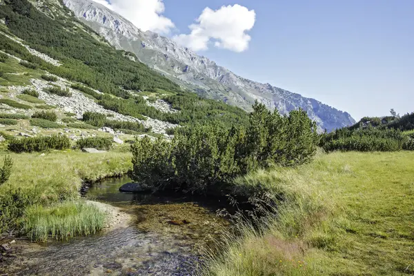 Bulgaristan 'ın Banderitsa Bölgesi yakınlarındaki Pirin Dağı' nın Şaşırtıcı Manzarası