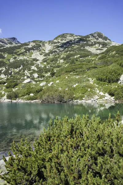 Bulgaristan 'ın Banderitsa Bölgesi yakınlarındaki Pirin Dağı' nın Şaşırtıcı Manzarası