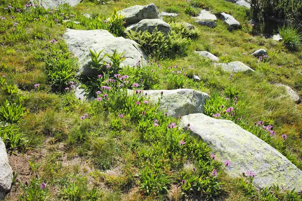 Bulgaristan 'ın Banderitsa Bölgesi yakınlarındaki Pirin Dağı' nın Şaşırtıcı Manzarası