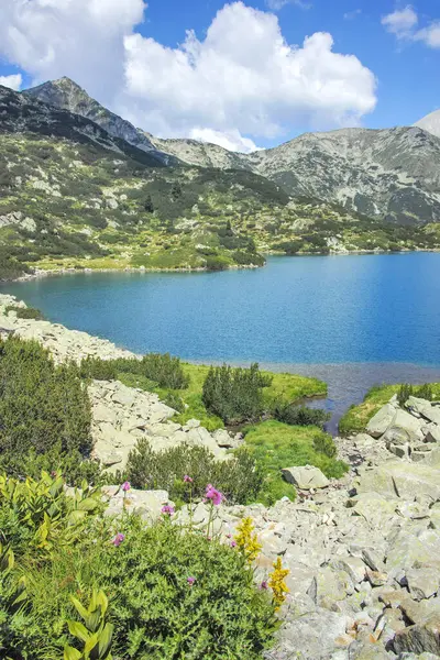Bulgaristan 'ın Banderitsa Bölgesi yakınlarındaki Pirin Dağı' nın Şaşırtıcı Manzarası