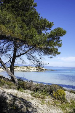 Karydi Sahili yakınlarındaki Sithonia kıyı şeridi, Chalkidiki, Orta Makedonya, Yunanistan